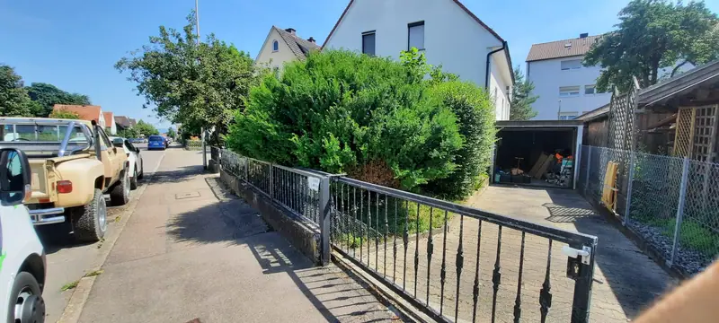 Hecke an der Grundstücksgrenze entlang der Straße