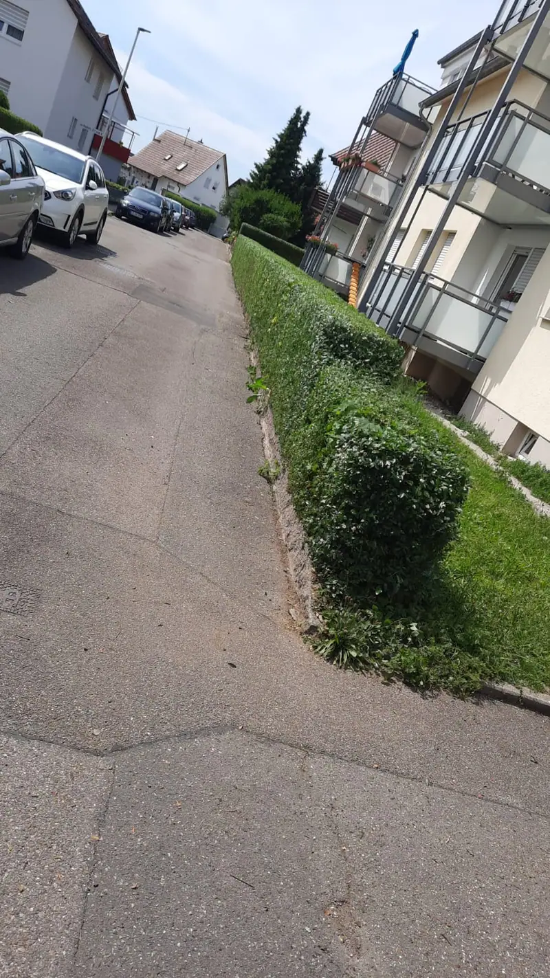 Hecke an der Straße sauber zurückgeschnitten